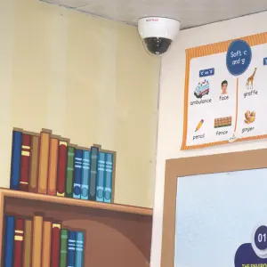 live-cctv-access